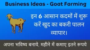 Business Ideas Goat Farming