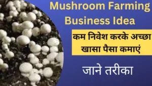 Mushroom Farming Business Idea